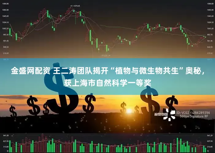 金盛网配资 王二涛团队揭开“植物与微生物共生”奥秘，获上海市自然科学一等奖