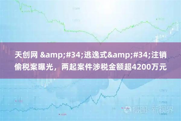 天创网 &#34;逃逸式&#34;注销偷税案曝光，两起案件涉税金额超4200万元