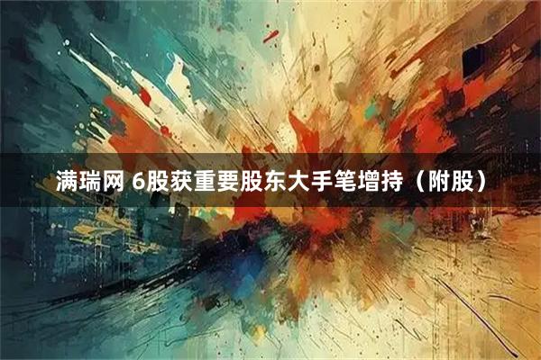 满瑞网 6股获重要股东大手笔增持（附股）