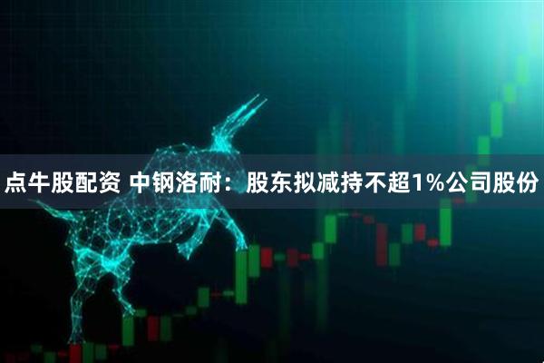 点牛股配资 中钢洛耐:股东拟减持不超1%公司股份