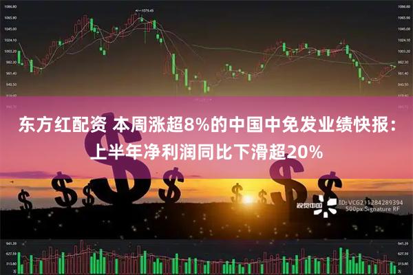 东方红配资 本周涨超8%的中国中免发业绩快报：上半年净利润同比下滑超20%