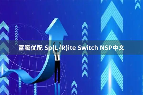富腾优配 Sp(L/R)ite Switch NSP中文